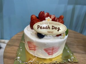 大田区蒲田トリミングサロンPeach Dog開店祝いケーキ