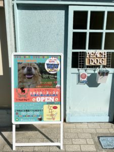 大田区蒲田トリミングサロンPeach Dogポスター