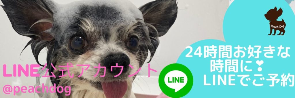 大田区蒲田トリミングサロンLINE予約Peach Dog