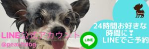 大田区蒲田トリミングサロンLINE予約Peach Dog