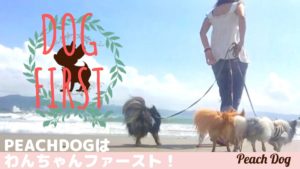 dog first大田区蒲田トリミングサロンPeach Dog