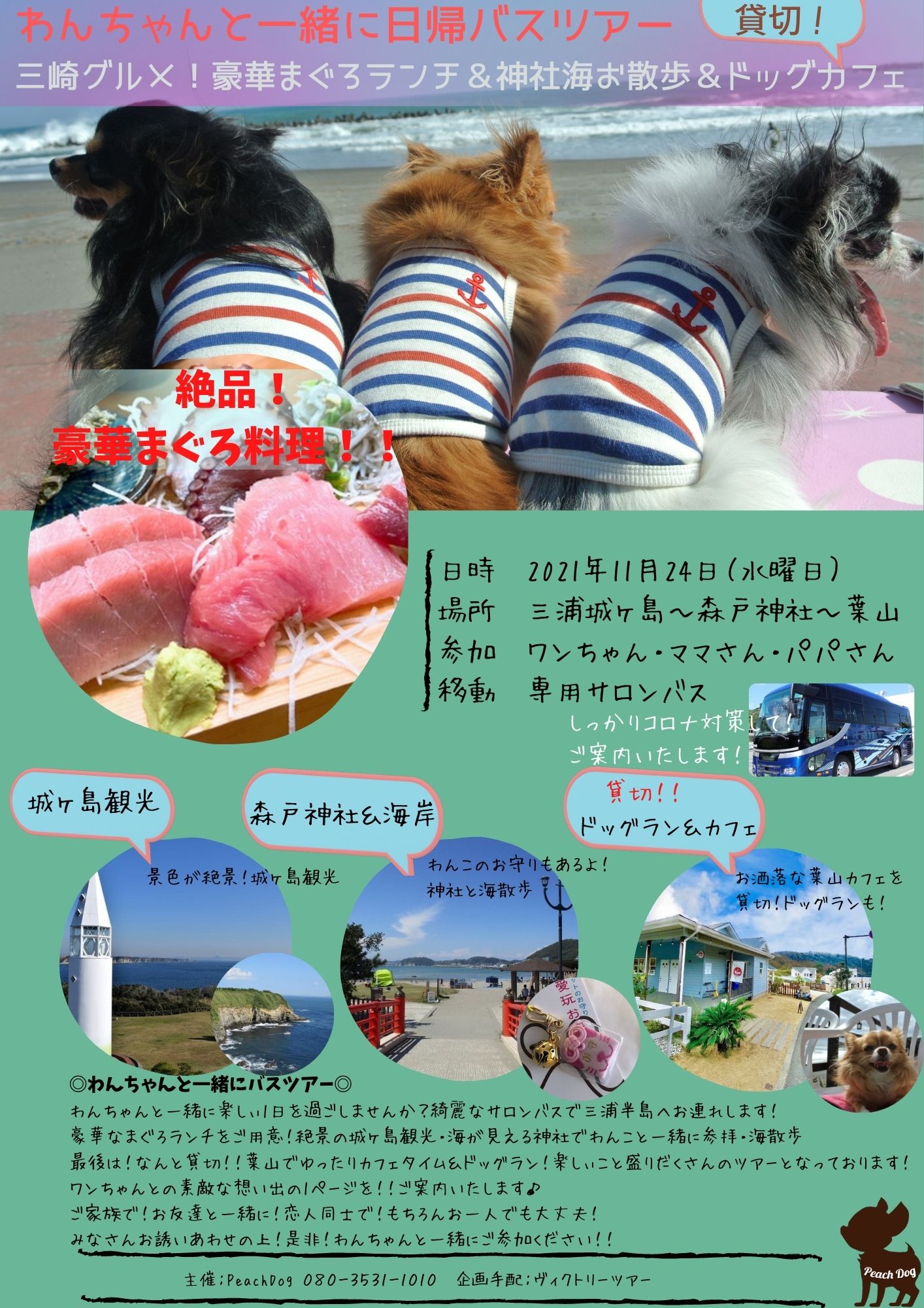 わんことバスツアー 大田区蒲田トリミングサロンpeach Dog21 11 Peachdog